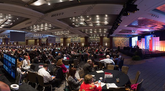 EWP_7838-Pano