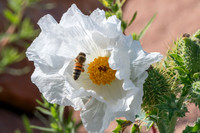 EWZ_1701